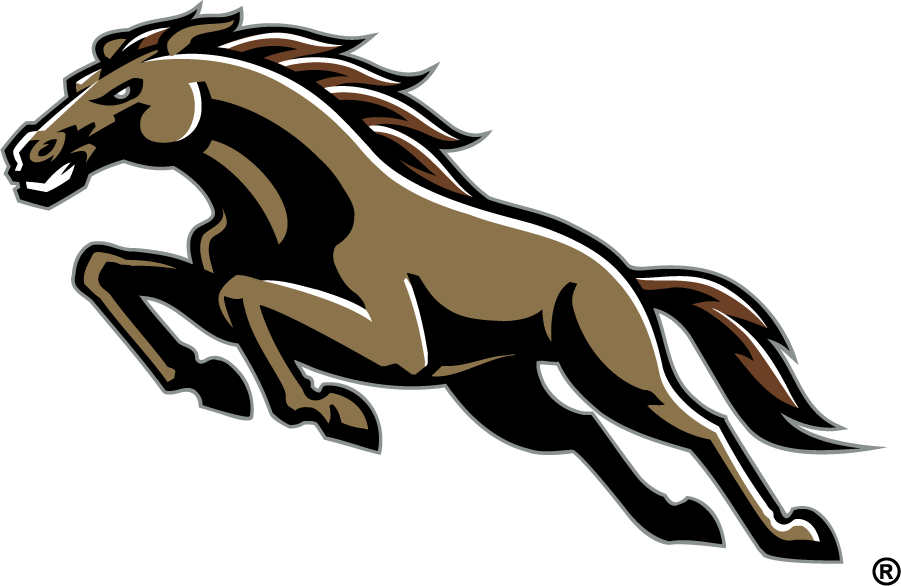 Western Michigan Broncos 1998-2016 Secondary Logo v3 diy iron on heat transfer